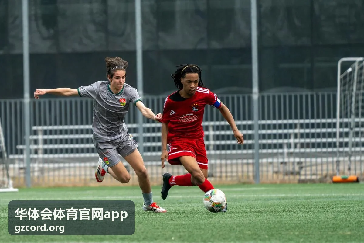 华体会体育官网app iOS 版下载与安装界面示意